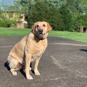 Meet your Posher, Zeke